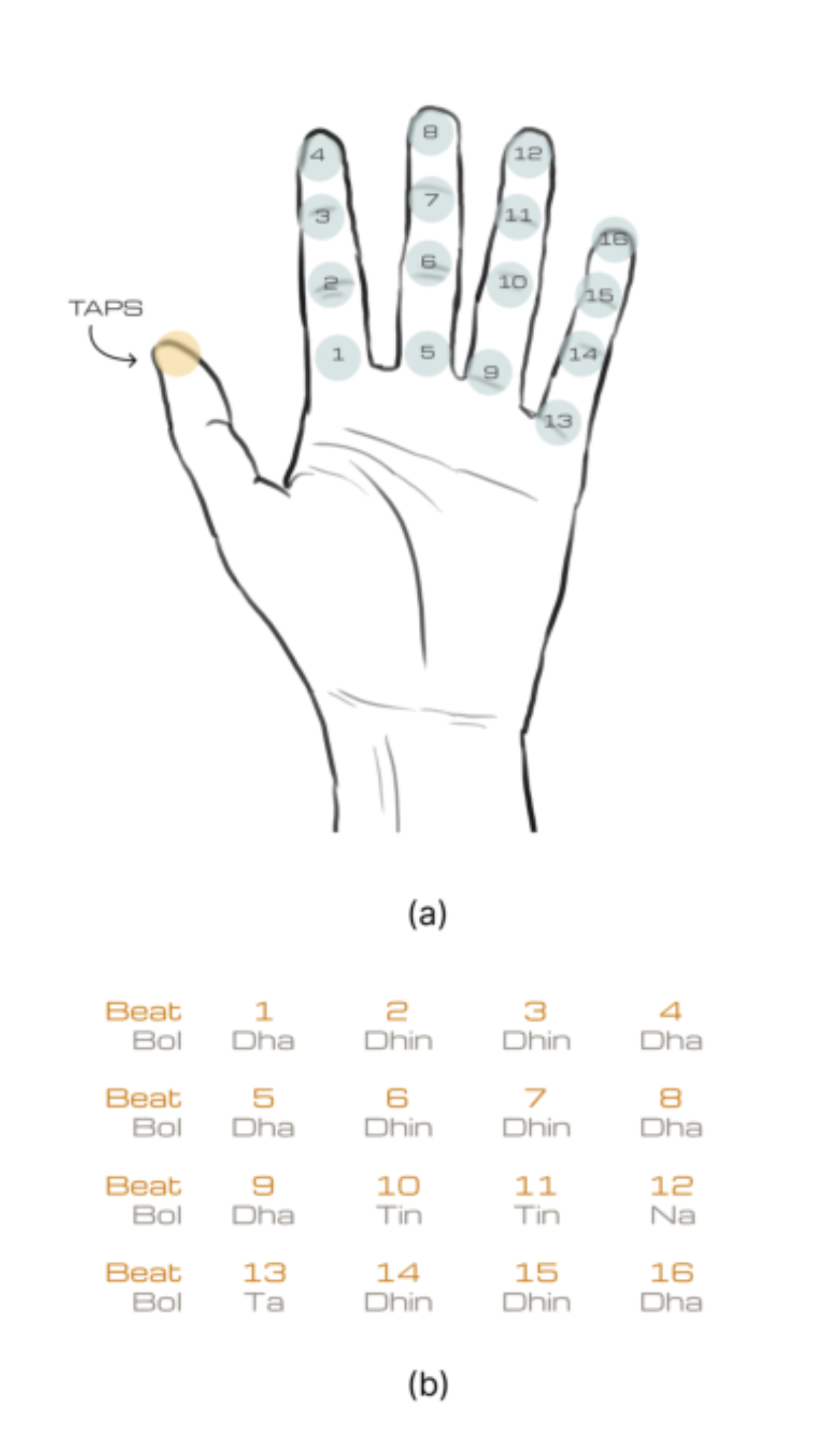 原论文 Figure 3:Finger-based rhythmic counting in Hindustani vocal practice.
