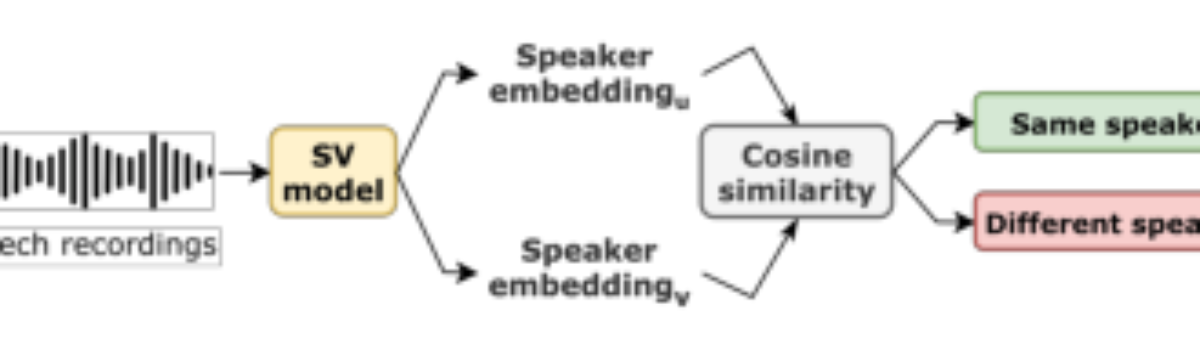原论文 Figure 7:Evaluation pipeline common to all SV setups.