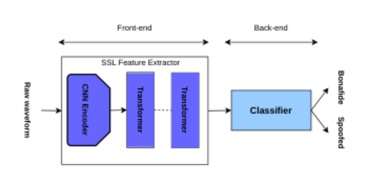 原论文 Figure 1:SSL-based spoofing detection model architecture.