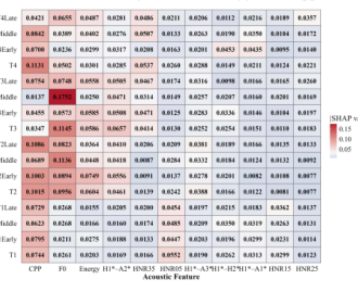 原论文 Figure 3:|SHAP value| across different tone segments.