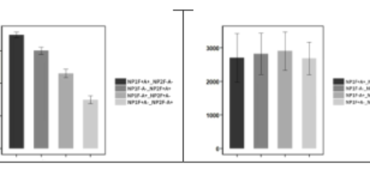 原论文 Figure 1:The bar graph of the mean accuracy rate