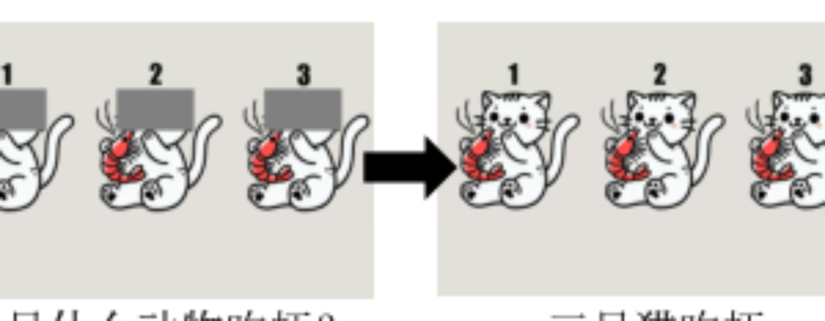 原论文 Figure 1:Experiment picture, question and target