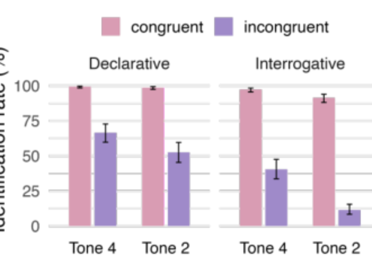 原论文 Figure 2:Mean identification rates (%) by final lexical