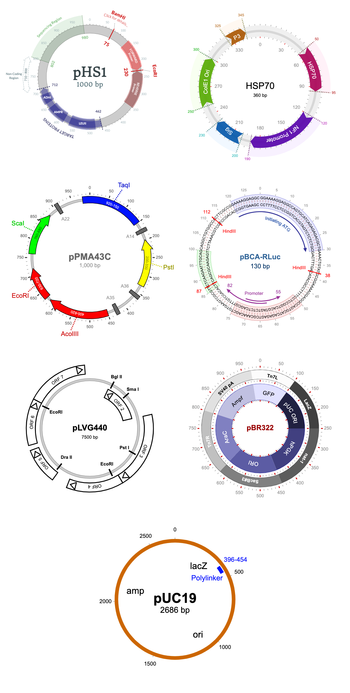 GitHub Nanoporetech Plasmid Map Plasmid Map Visualisations For   Demo 