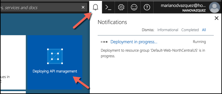 Provisioning API Management instance