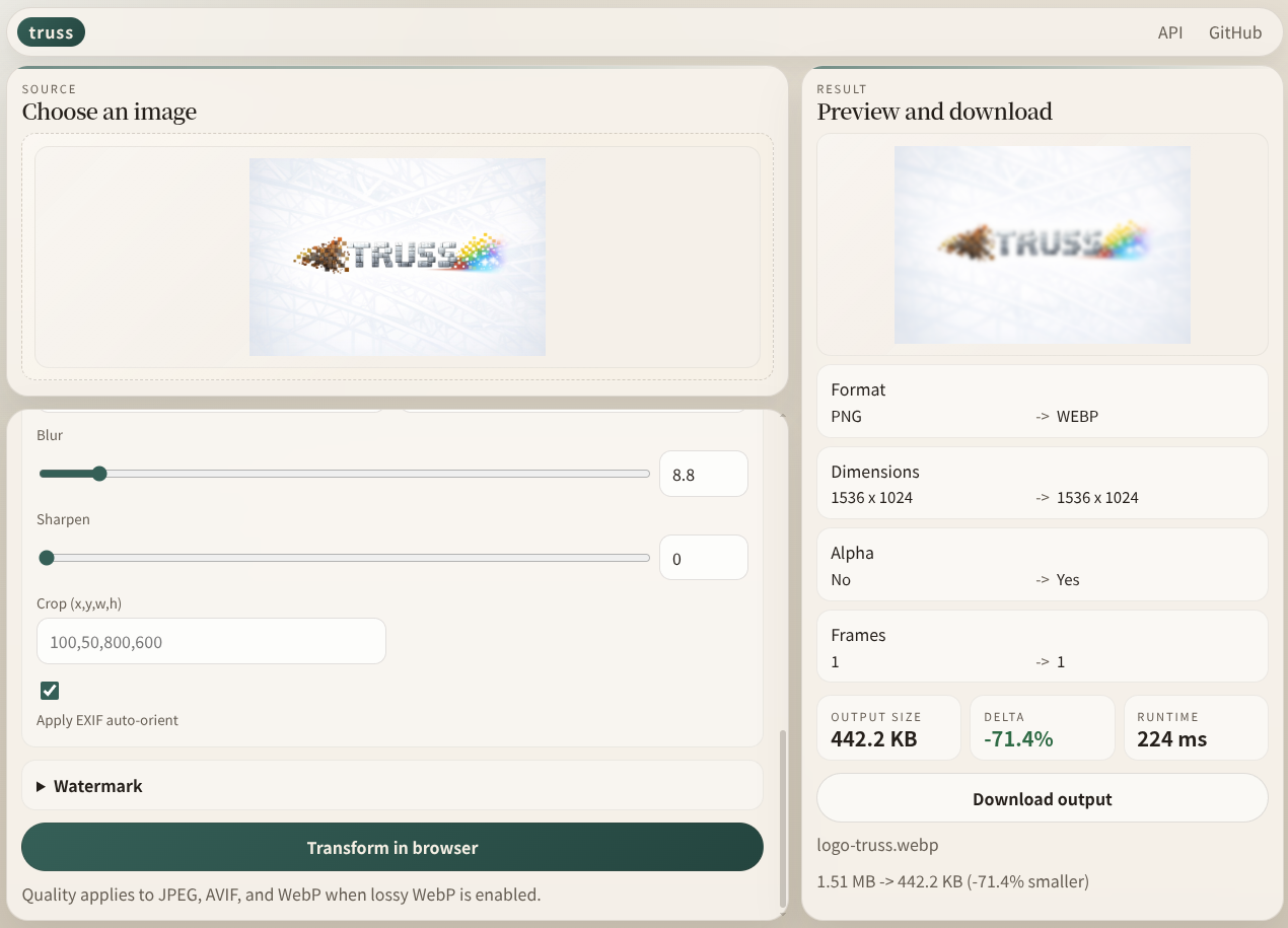 WASM demo screenshot