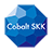 cskk logo