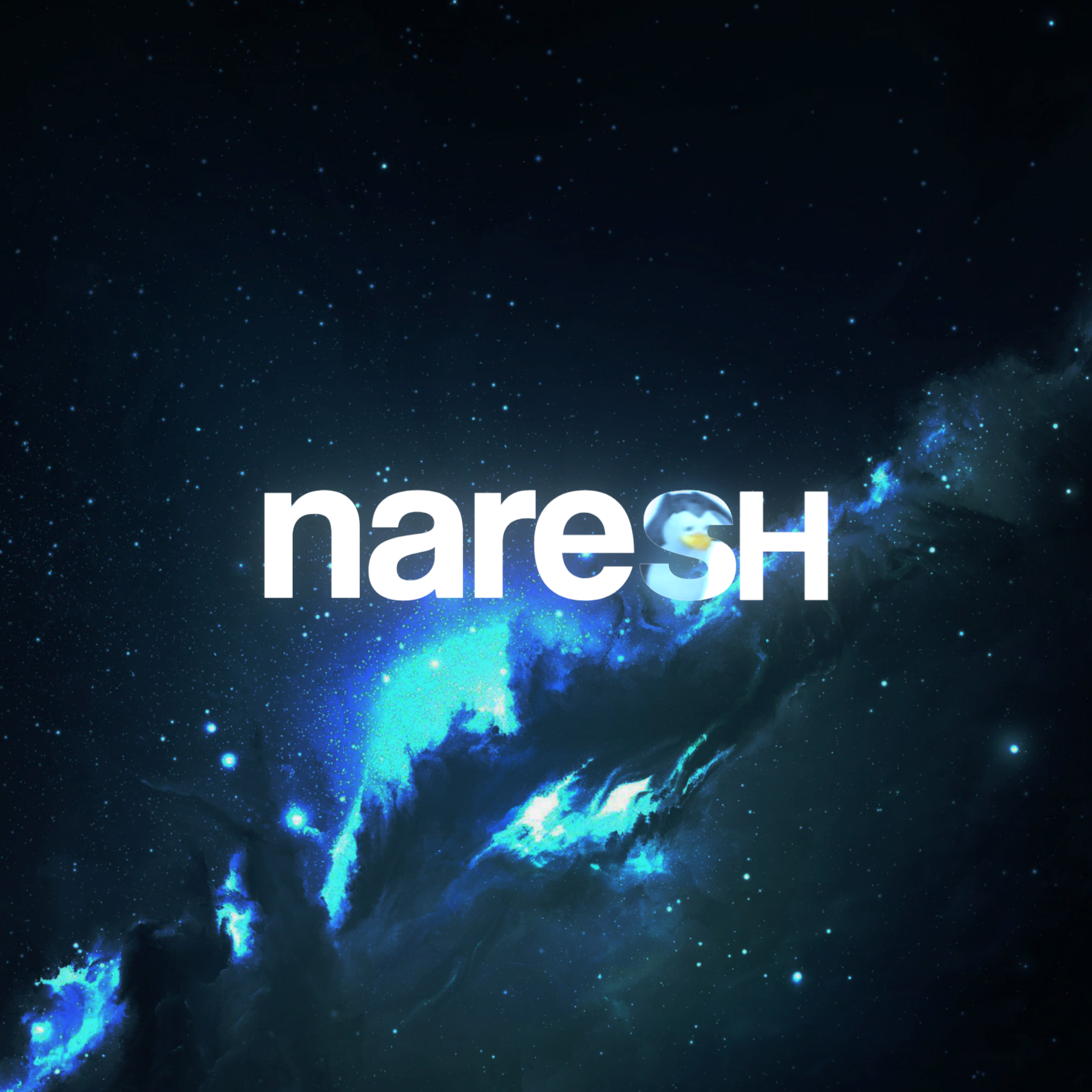 Naresh Choudhary Logo