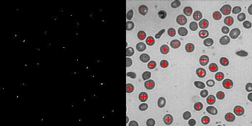 output_blood_combined