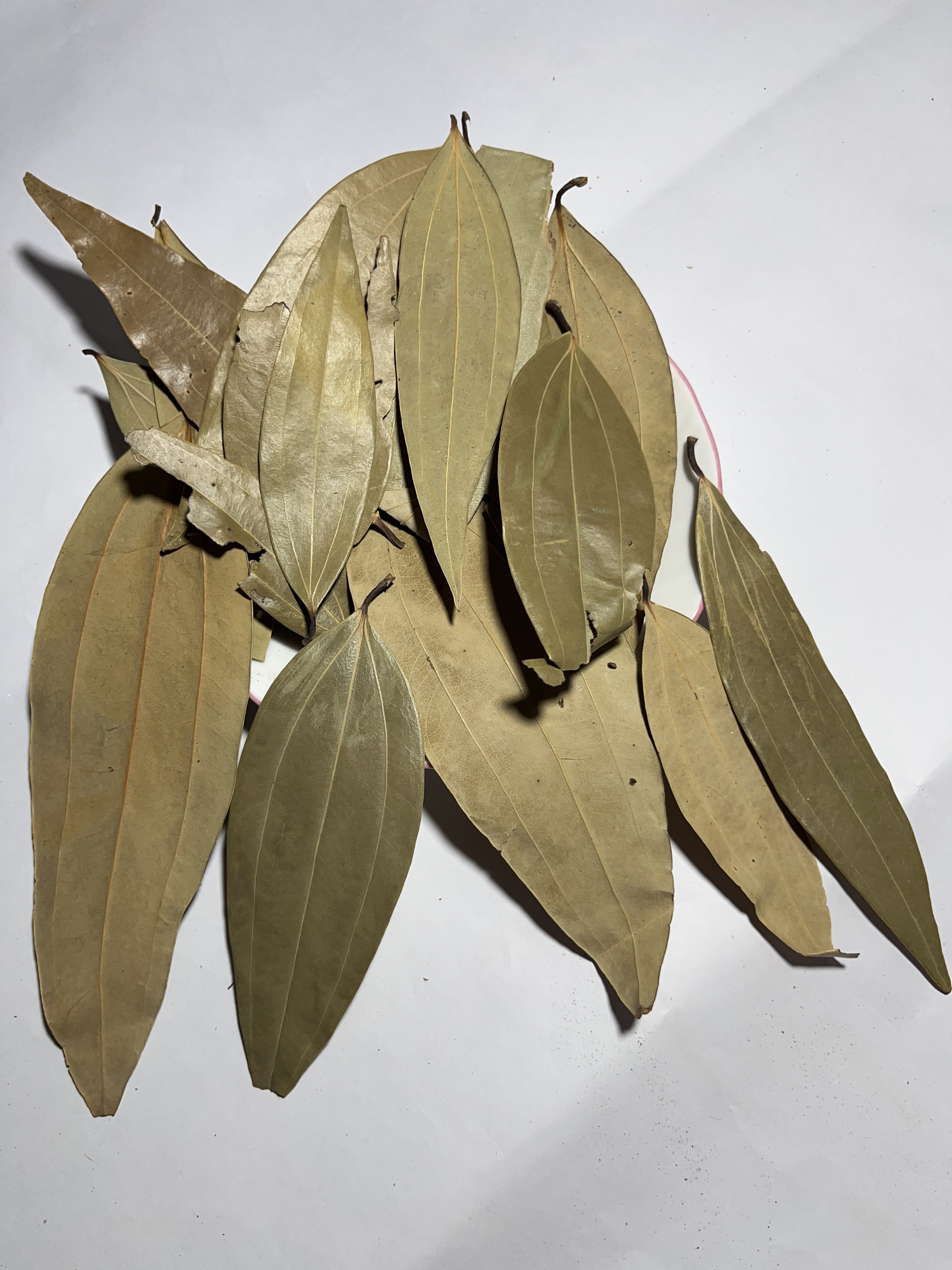 Bay Leaf