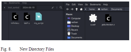 Files in Date Subdirectory
