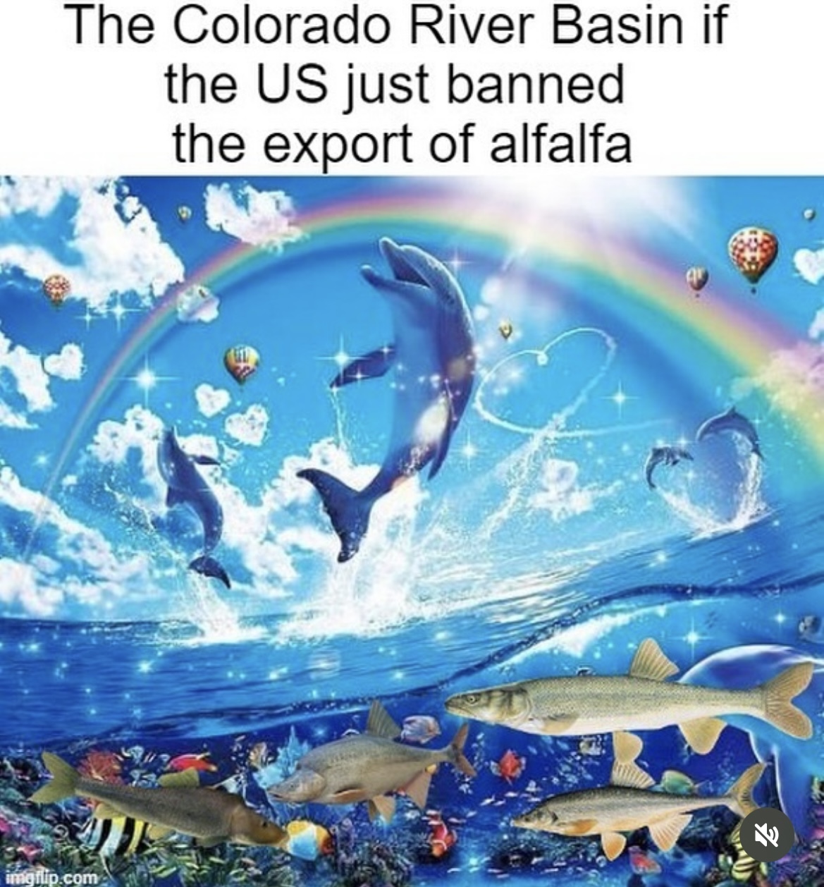 Meme promoting an export ban on alfalfa