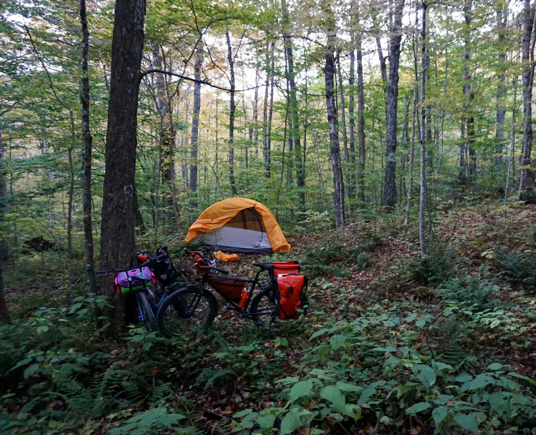 cozy lil wildcamp spot in the national forest