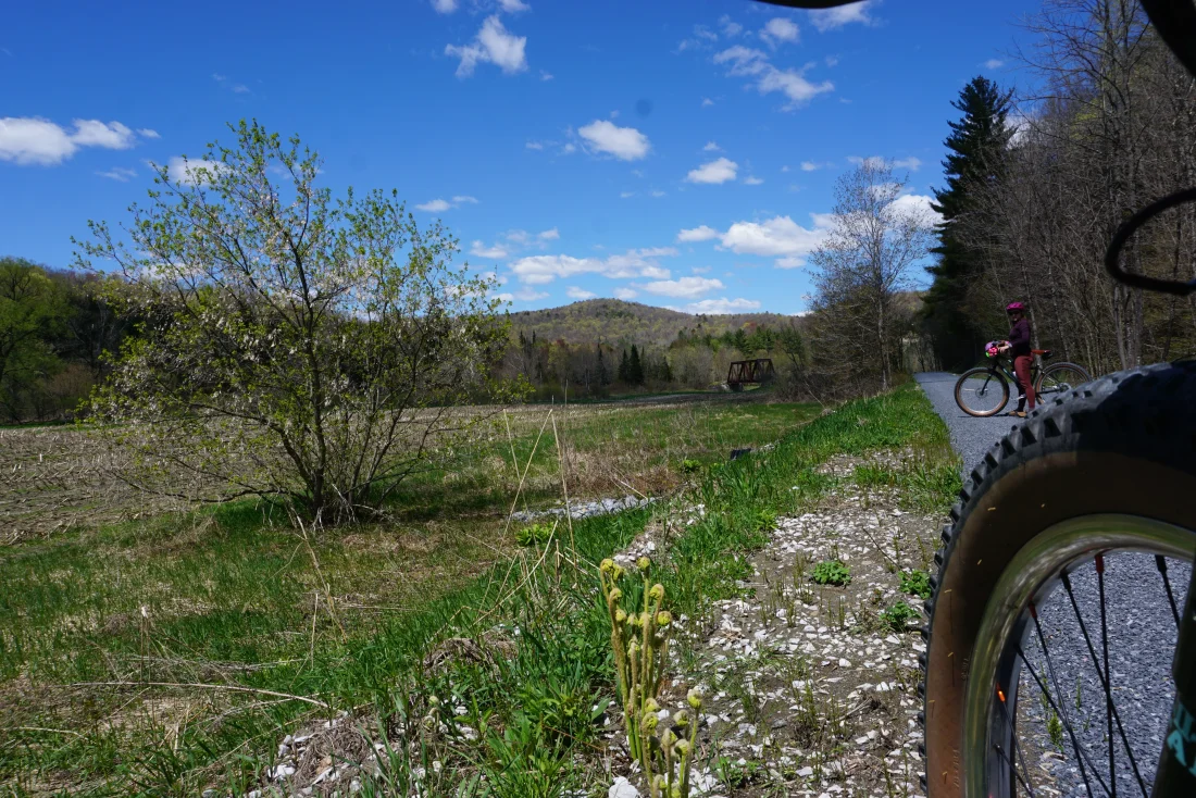 meg, fiddleheads, bridges, bike tyres