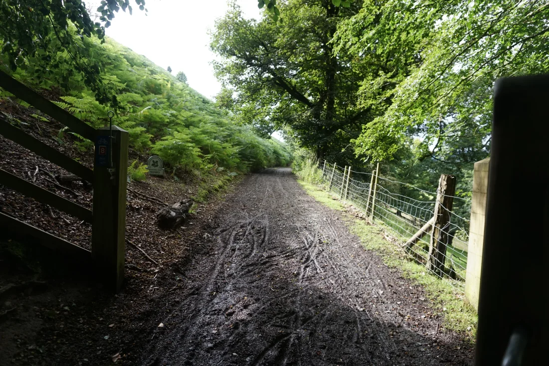 fun mud and gates