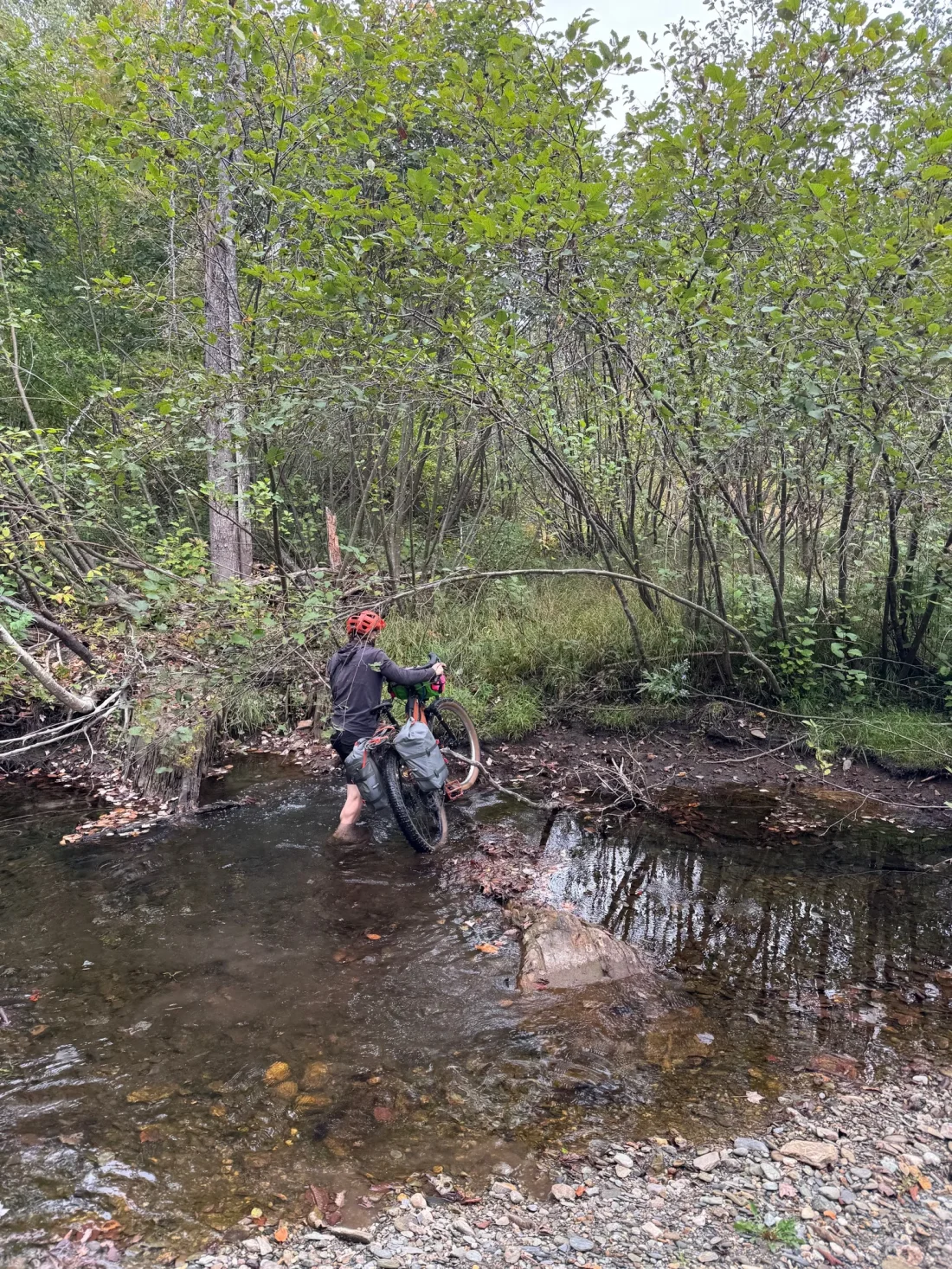 no swimming occurred