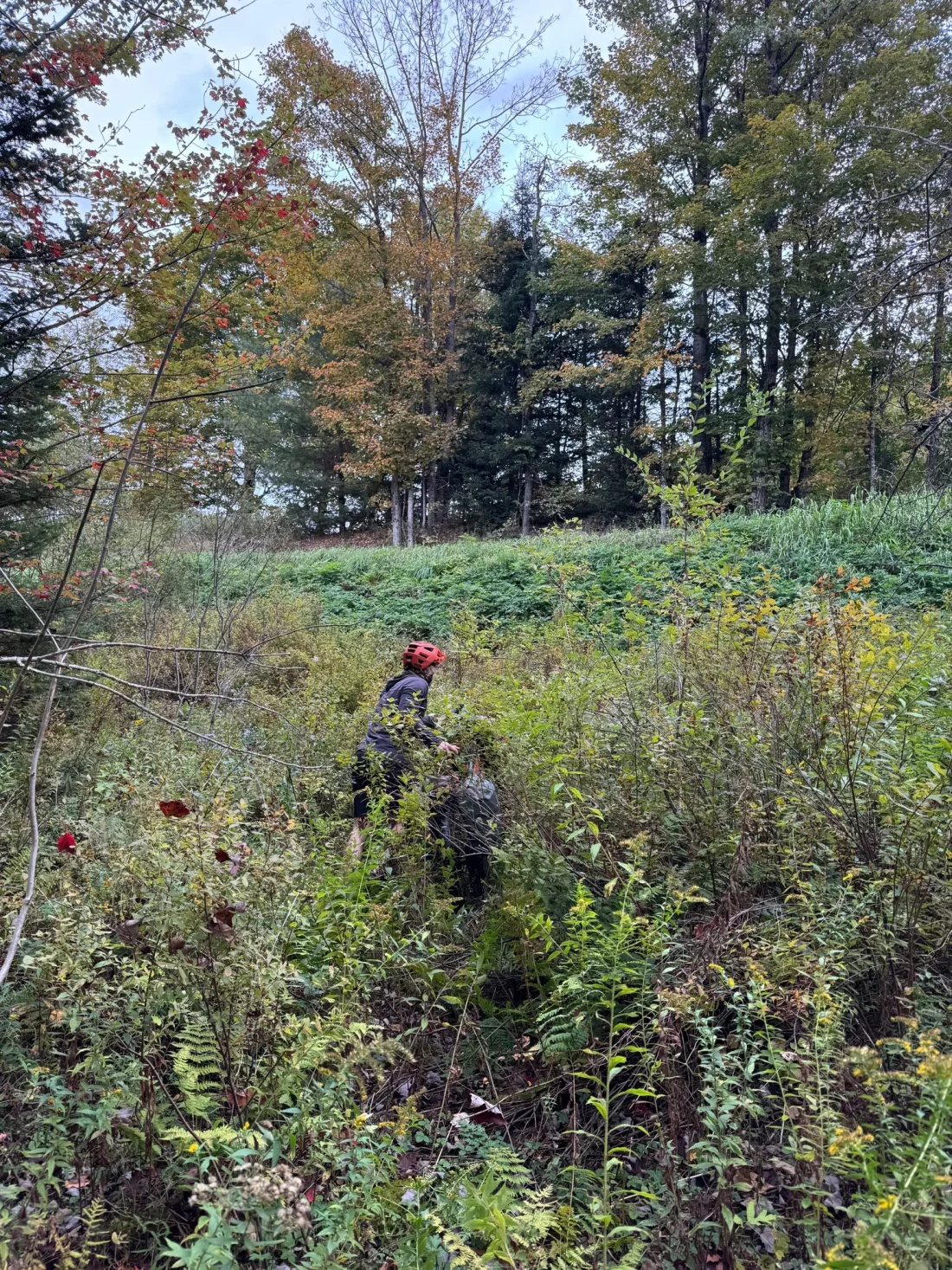 no hiking through swamps occurred