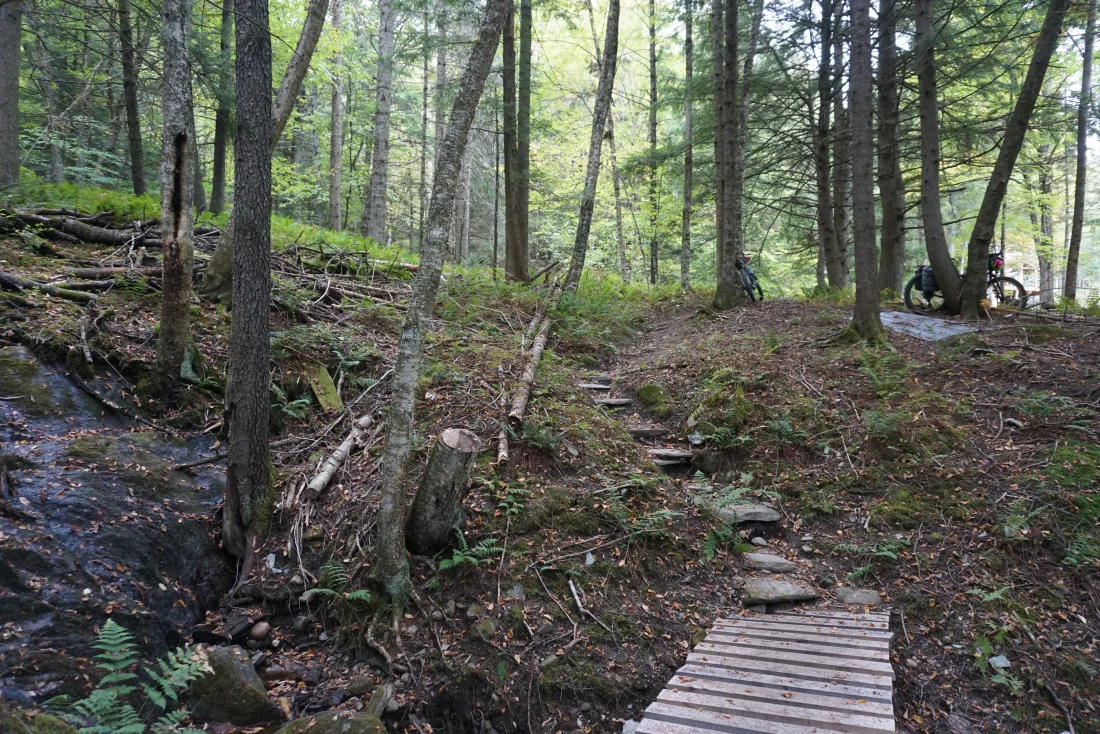 lovely campsite stairs