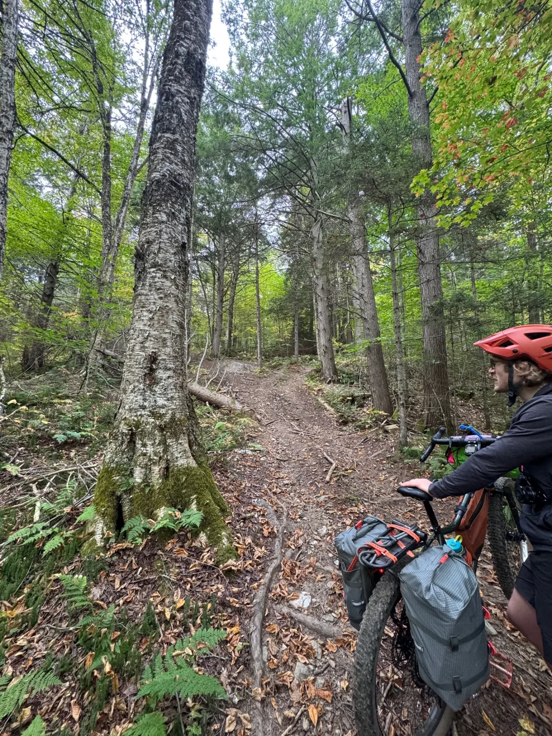 detour goes in wrong direction, and up large rocks