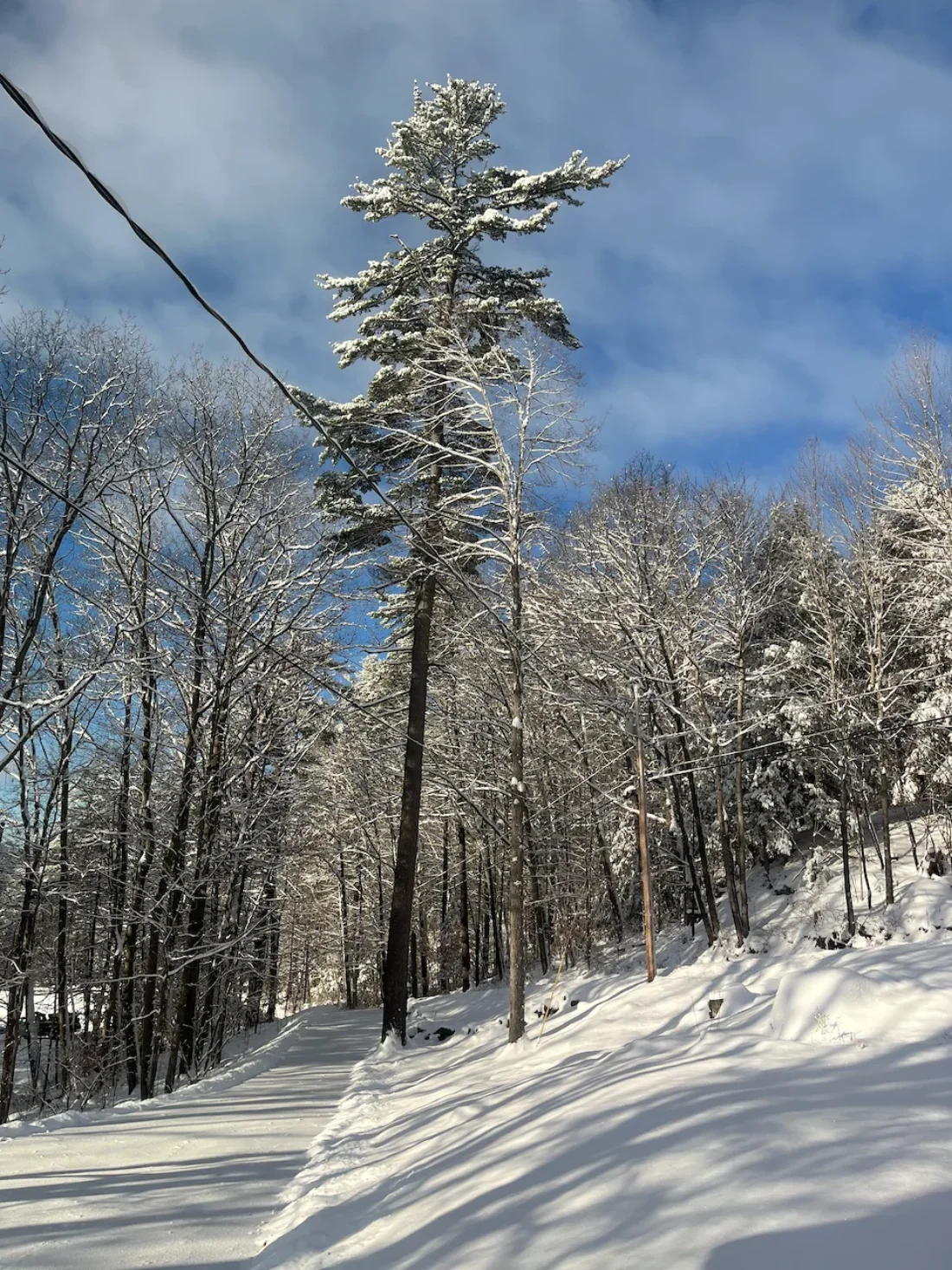 snowy house views