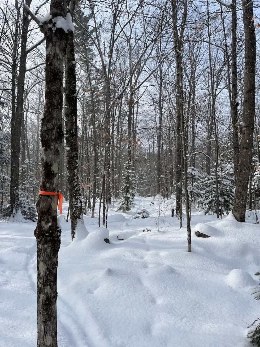 blazing fresh trails on gardner's in prkr trails