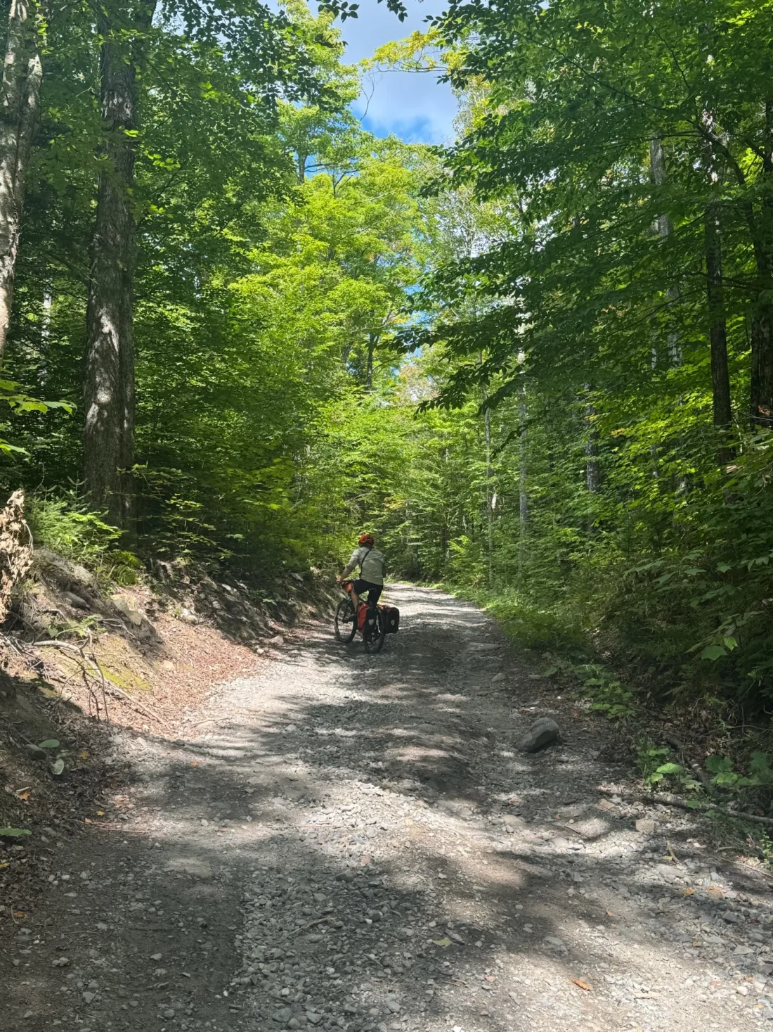 dis road b chonk