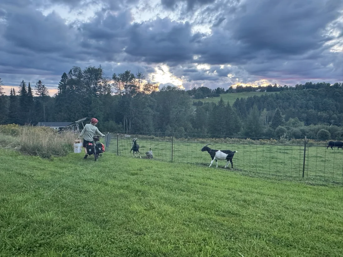 got my bike, my wood, my goats