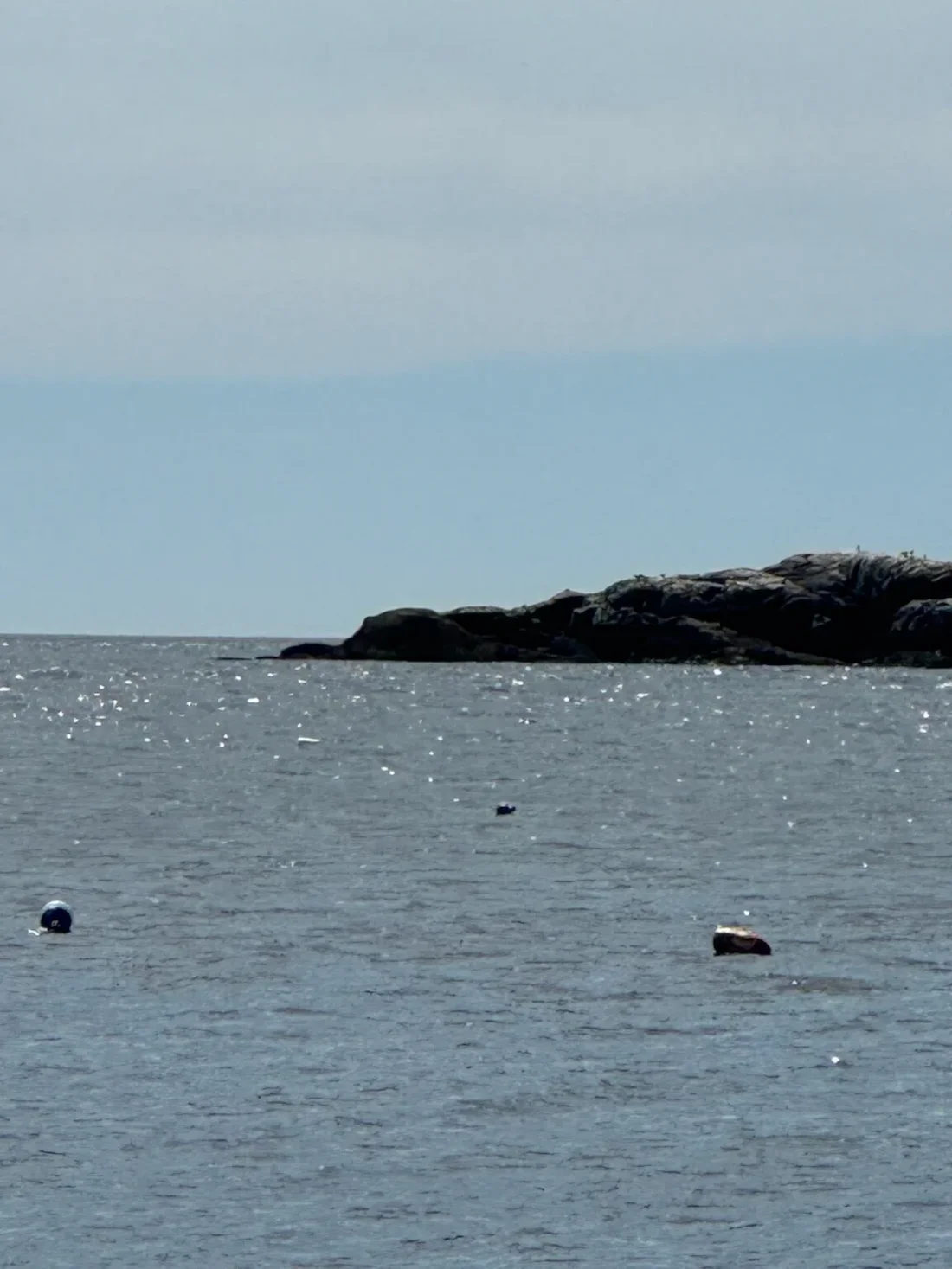 seals dip even deeper than my deeper dip