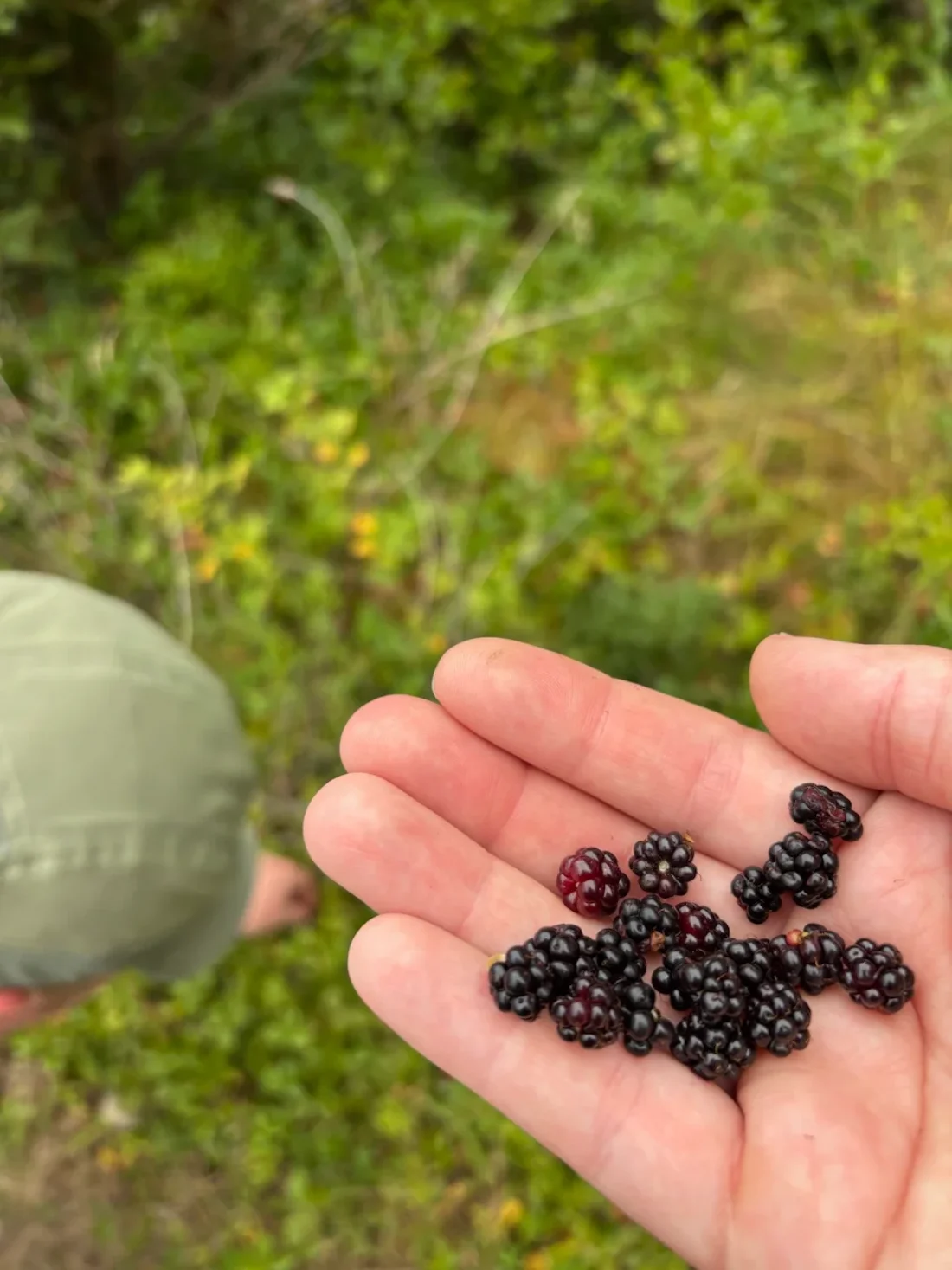 a small portion of our blackberry exposure