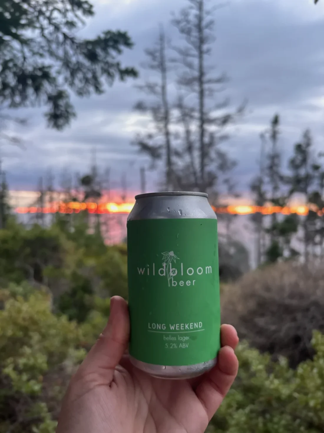 sunset brought to you by wildbloom beer, allegedly