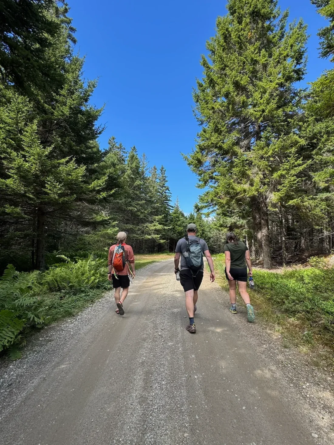 we mostly hiked on the trails, but the last segment was more direct on the island's lone dirt road