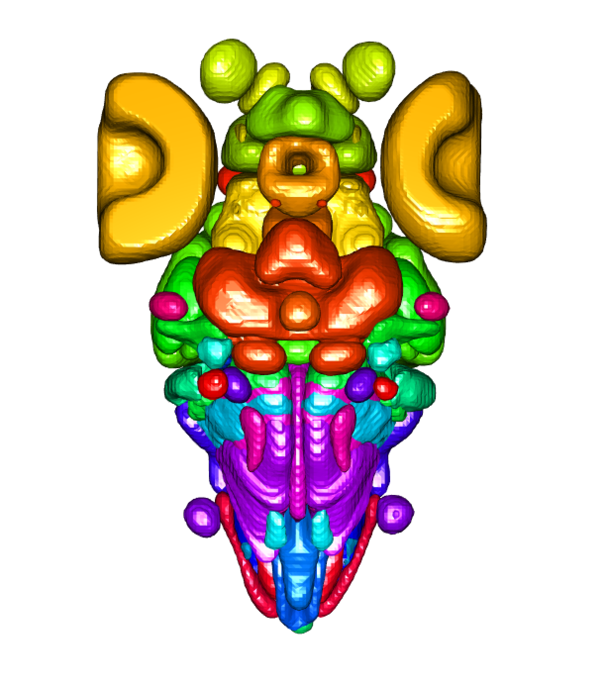 zbrain_neuropils