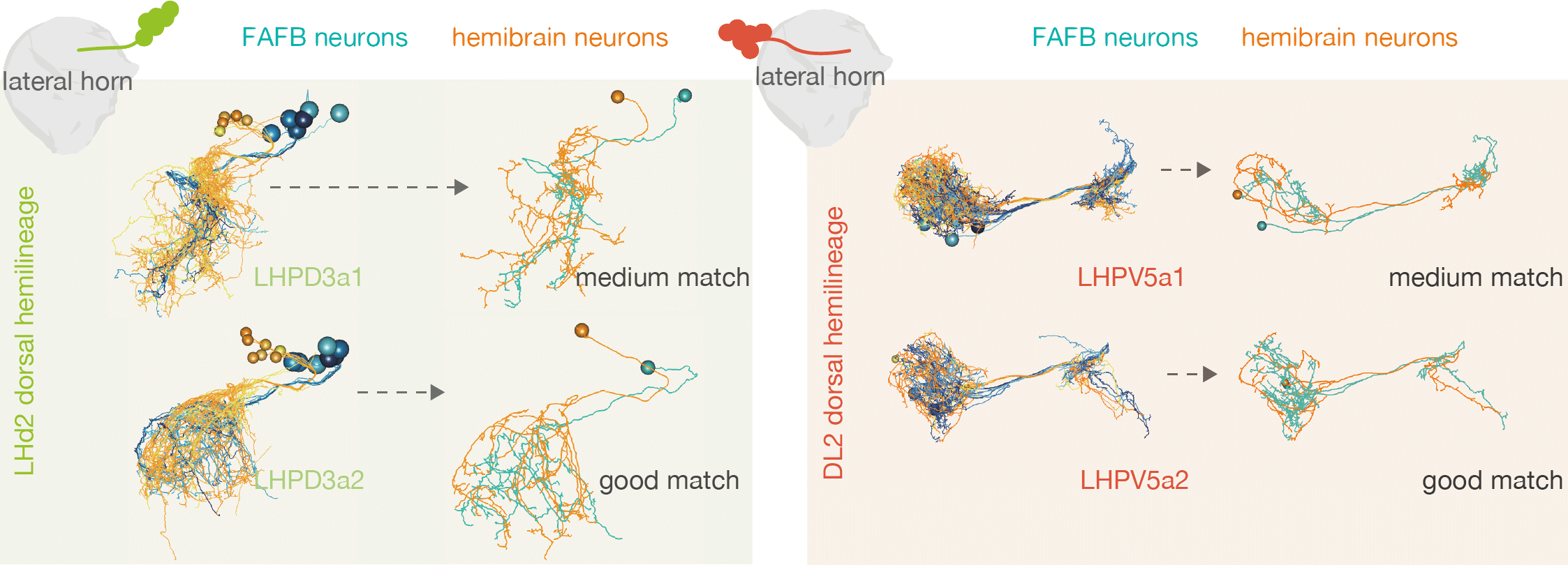 match_examples