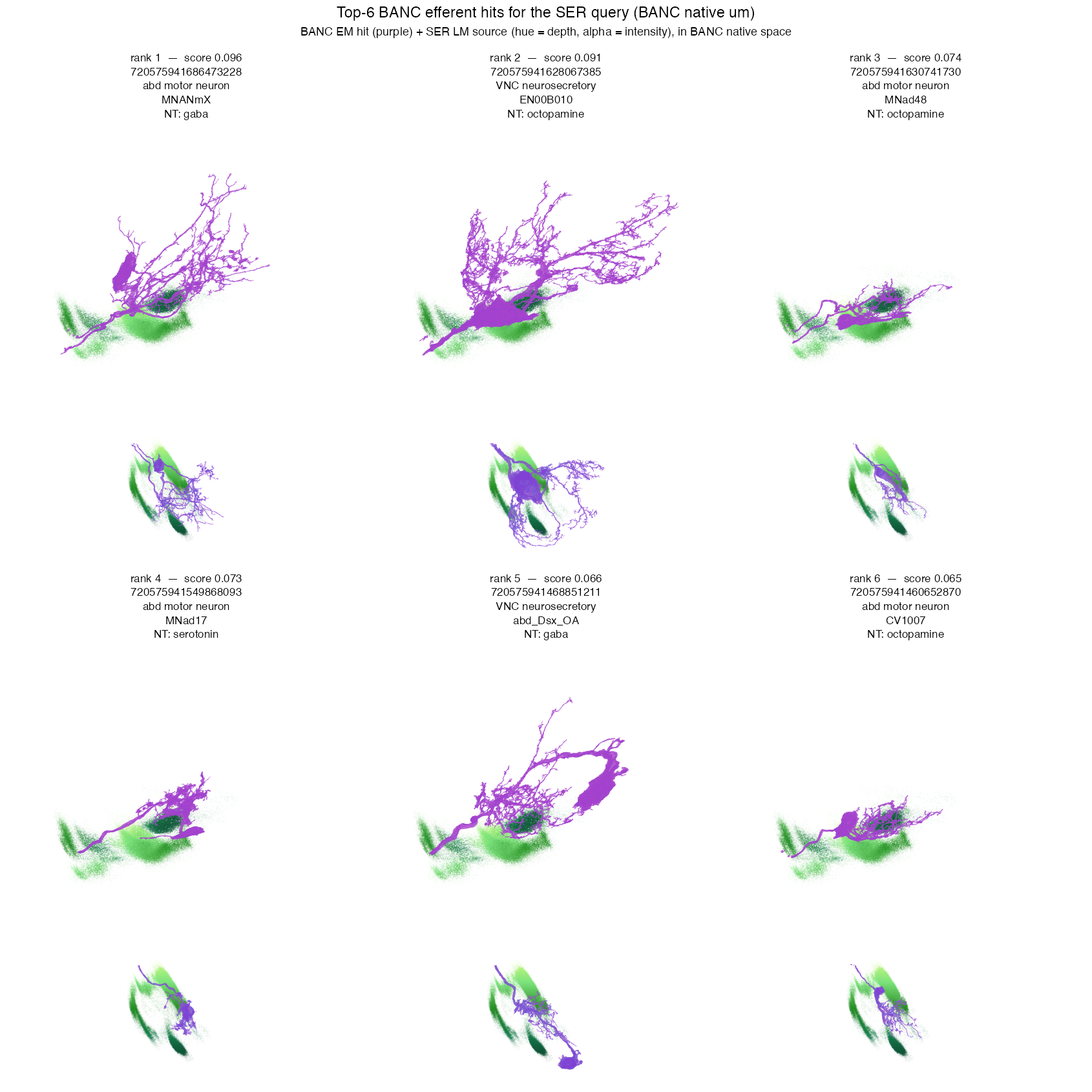 Top-6 BANC efferent matches for the SREN query