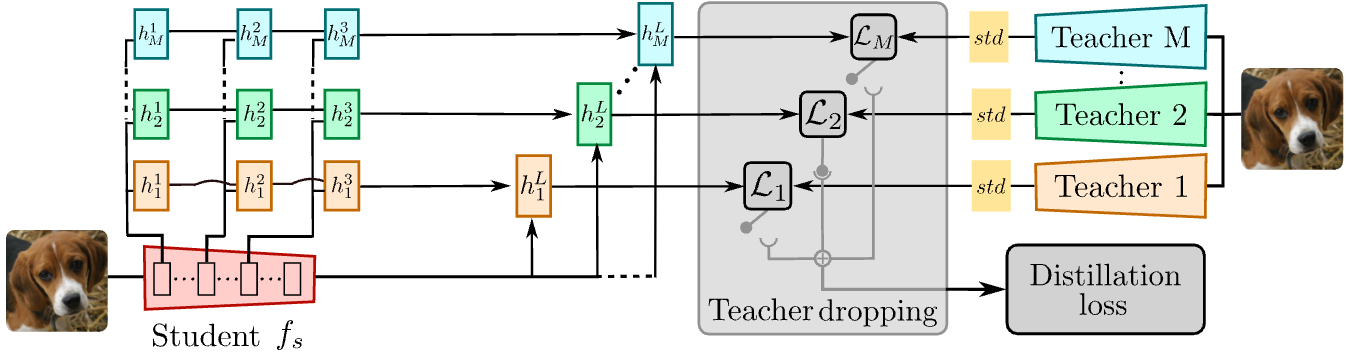 Model Diagram