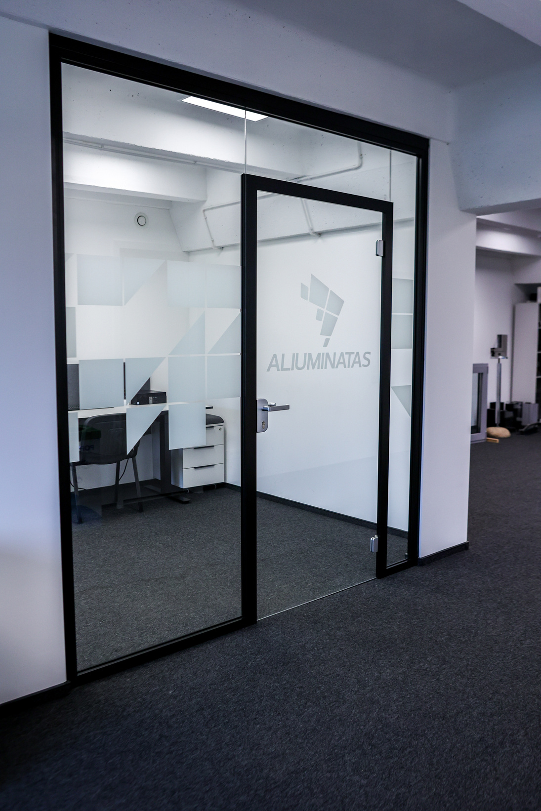 Frameless Door Leaf detail 1