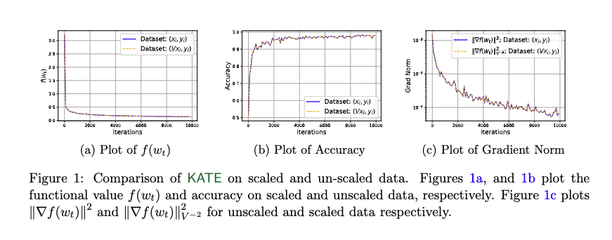 Scale Invariance