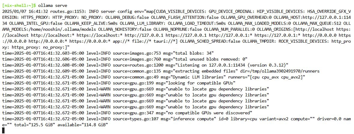 Ollama model server screenshot