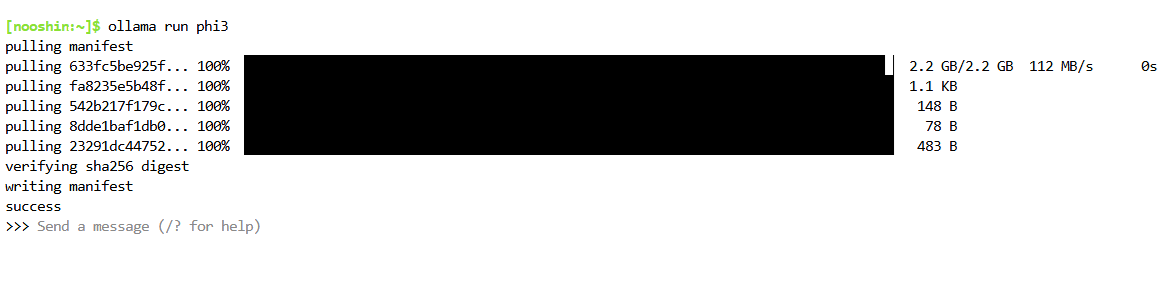 Phi-3 ready for queries screenshot