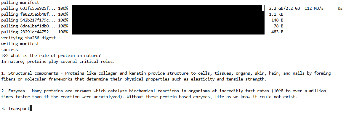 Phi-3 response screenshot