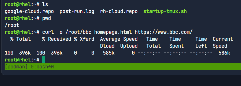 Downloading BBC Homepage