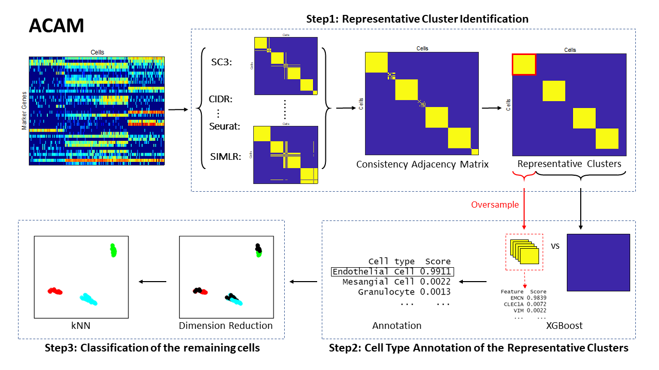 flowchart of ACAM