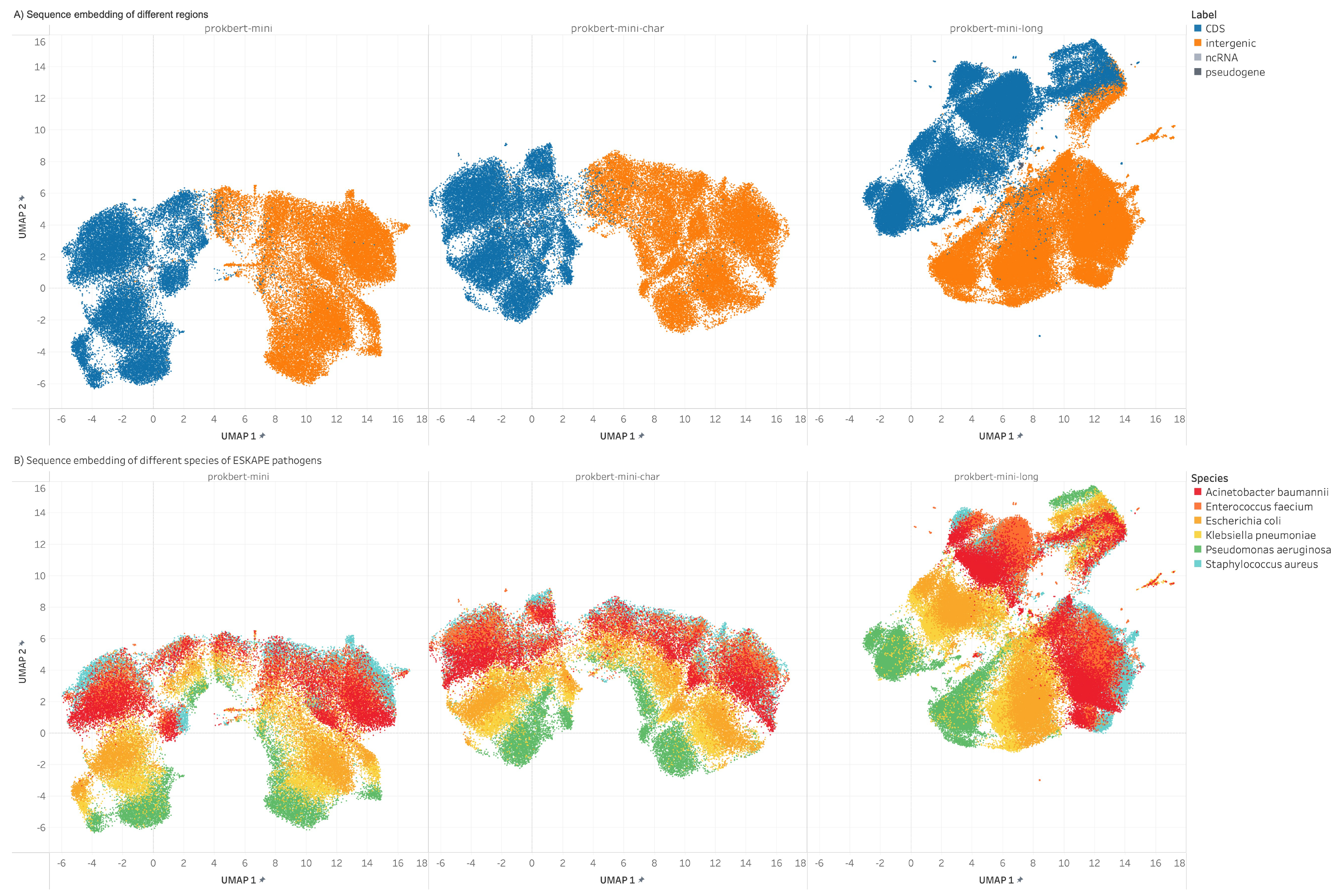 UMAP embeddings of genomic segment representations