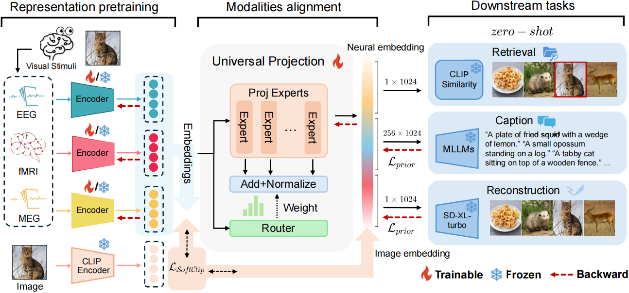 BrainFLORA framework