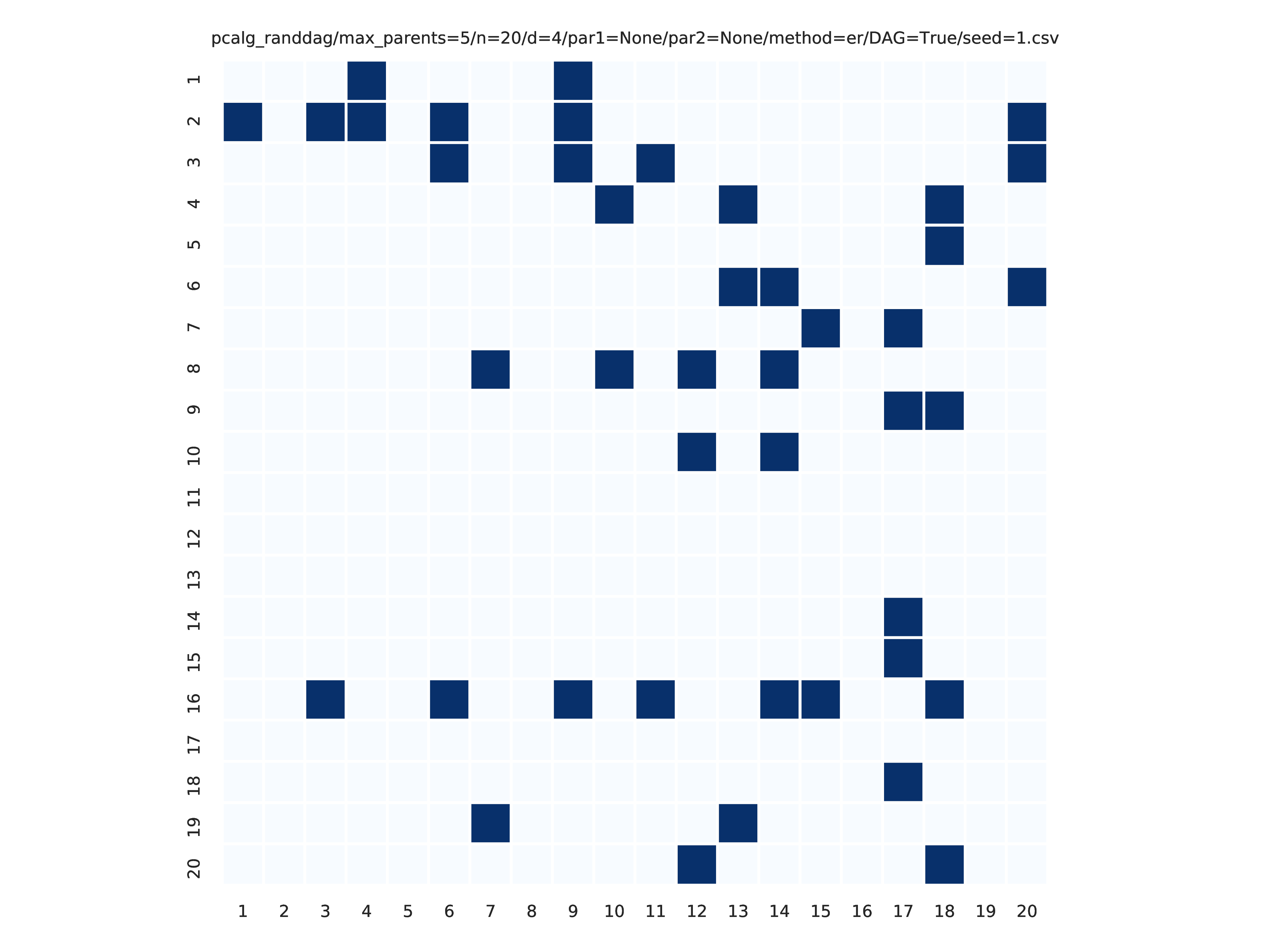 True adjacency matrix plot