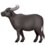 water_buffalo