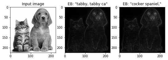 imagenet-eb.png