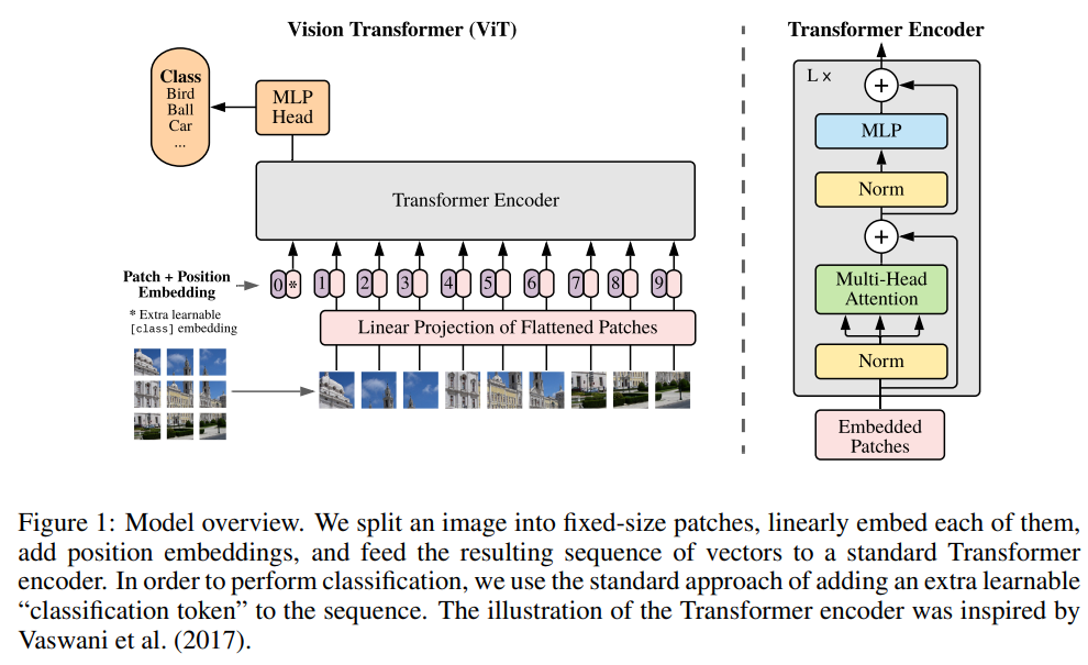 vision transformer