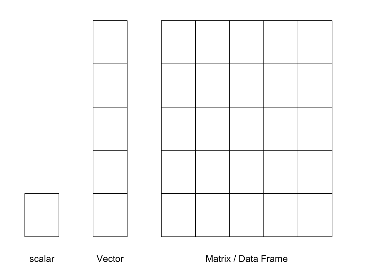 scalar, Vector, MATRIX