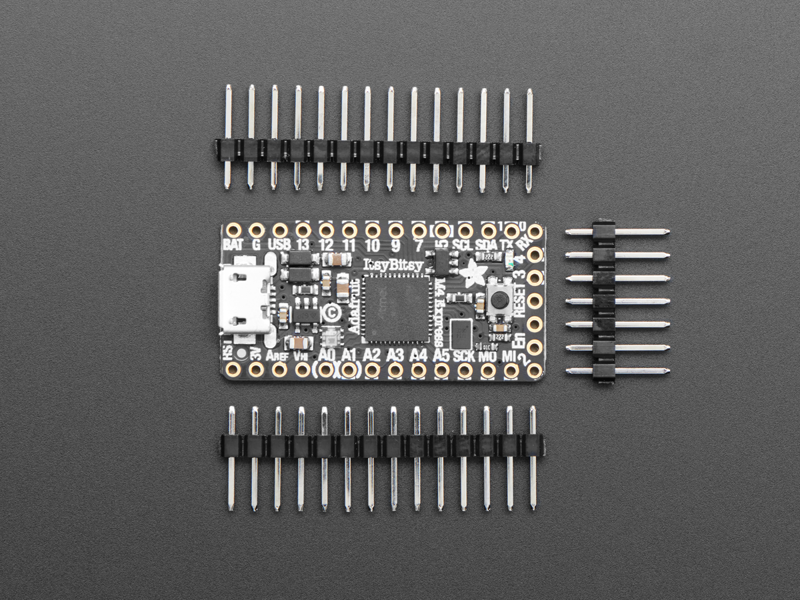 Adafruit ItsyBitsy M4 Express board photo